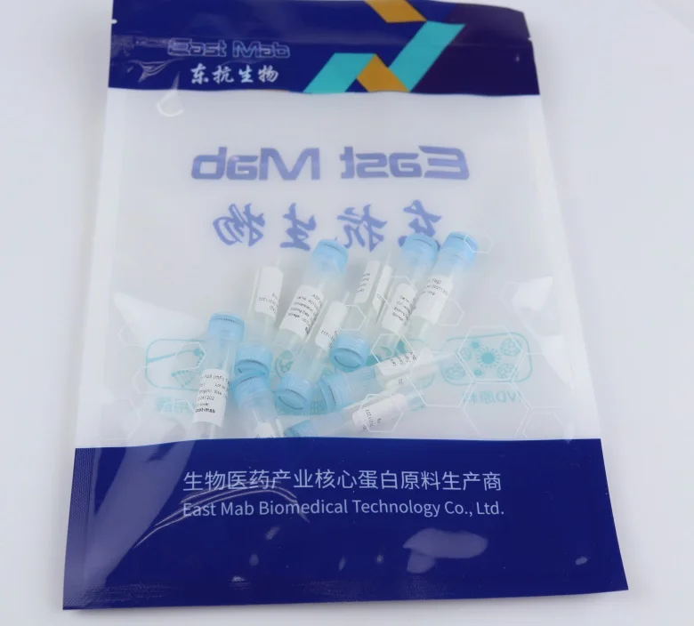 Hot Selling Scientific Security Stable Genome IVD Reagent DENV1 NS1