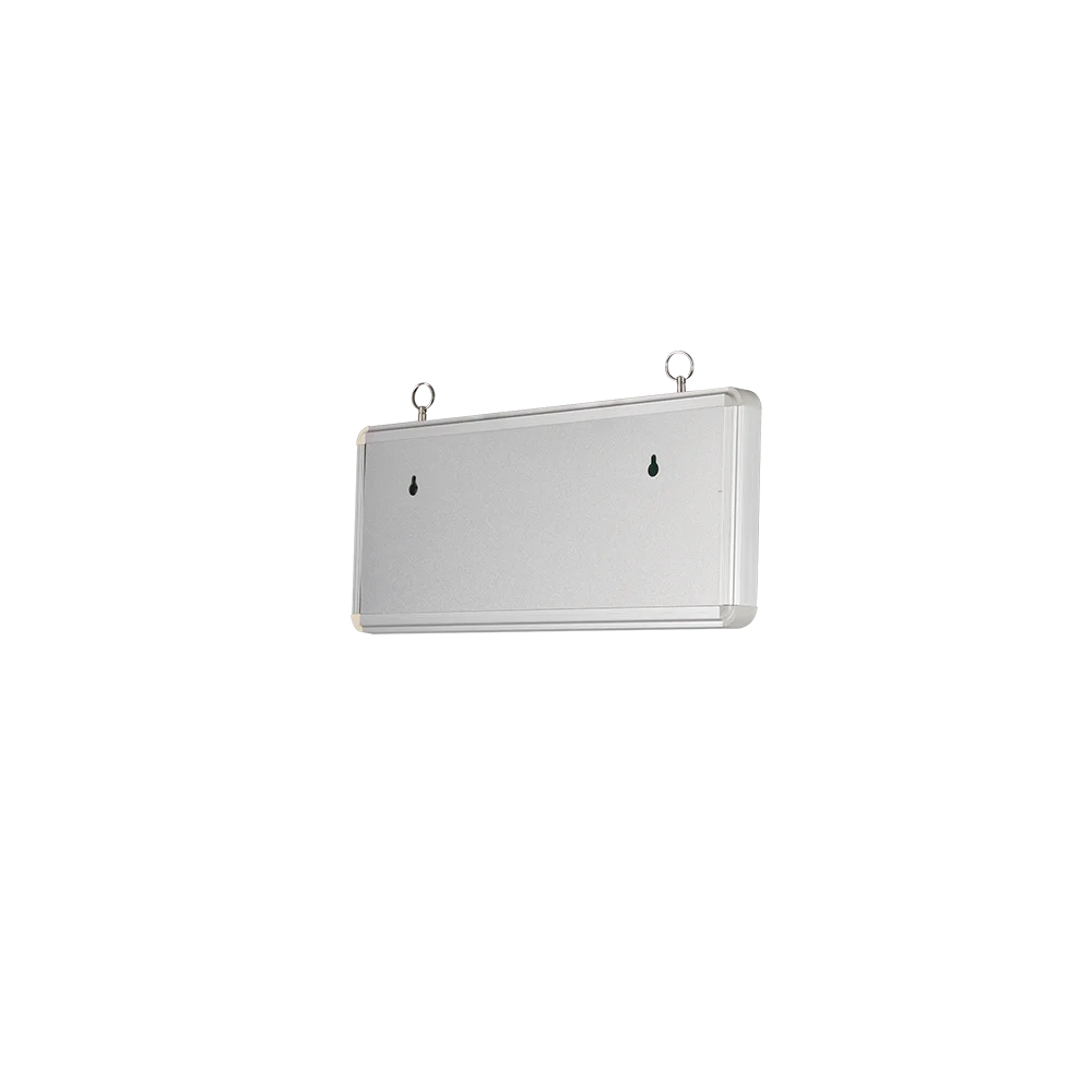 Hot Sale Emergency Power Supply Exit Sign Cost-effective 3W Led Emergency Exit Security Light