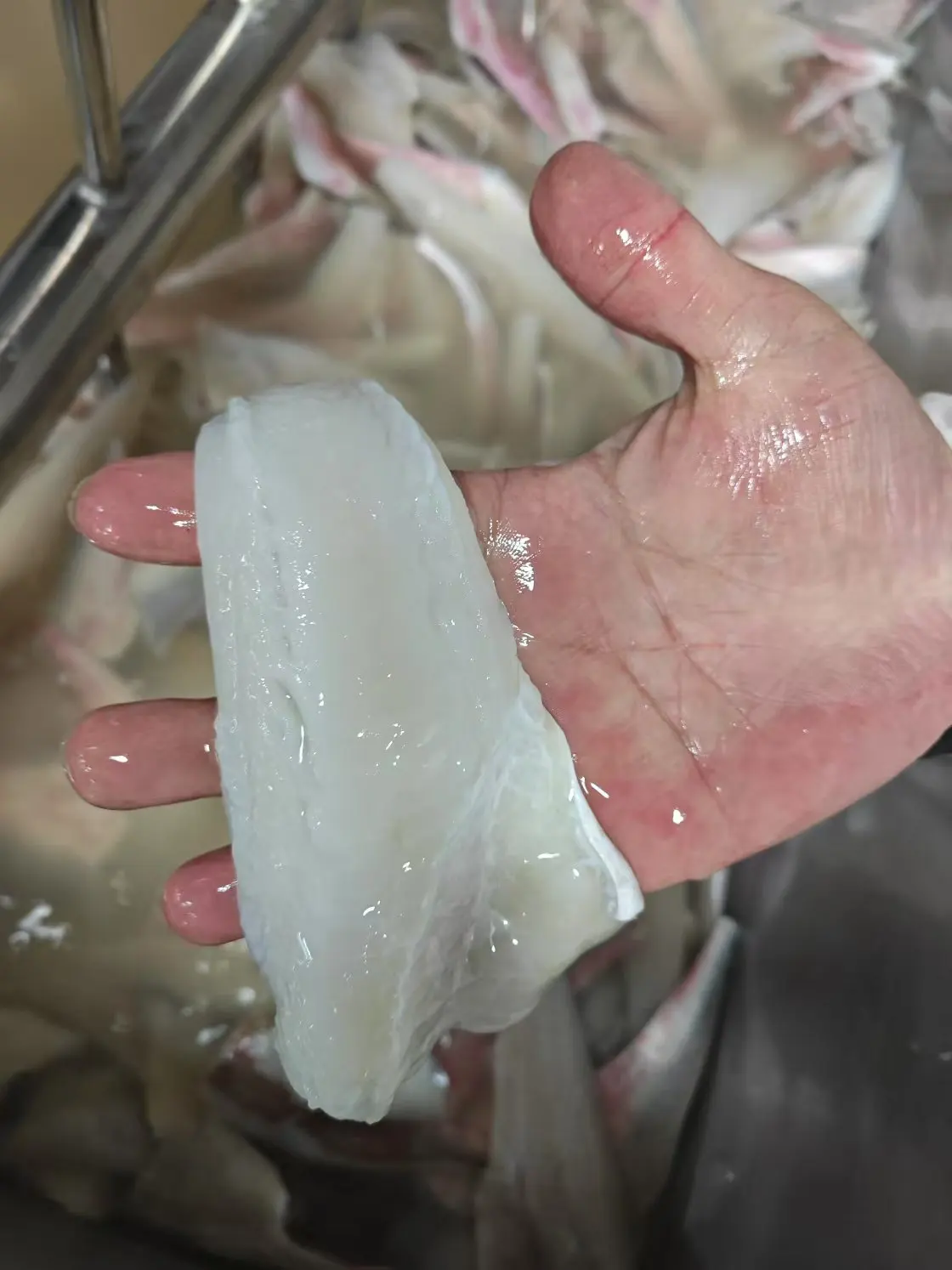 Хорошая цена замороженное красное филе Gurnard Китай рыбы