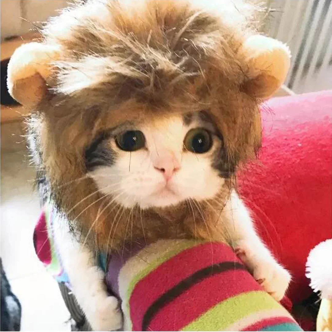 Cute Lion Mane Cat Wig Pet Small Dog Cats Costume Lion Mane Wig Cap Hat for Cat Dogs Fancy Costume Cosplay Toy Pet Supplies
