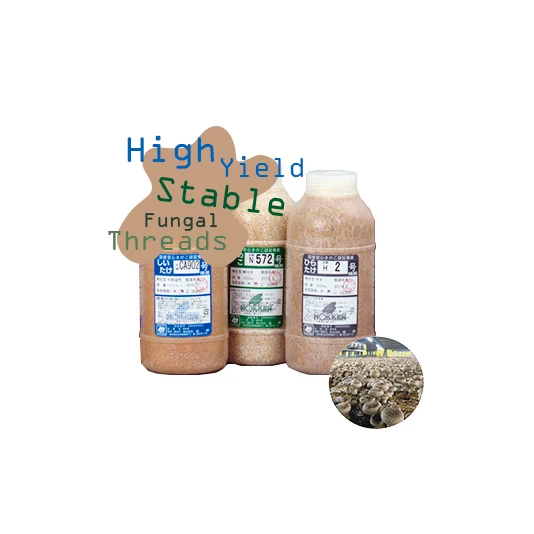 Synthetic filter disc bag filling mushroom spawn cultivation