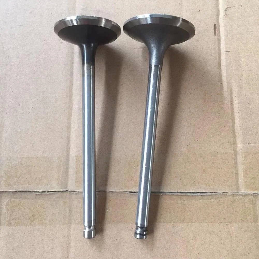 Factory Tip Engine Valve 6D102 6BT 4BT 42*8*129 45*8*129.2 3920867 3920868 920867 4895187 920868 4895188