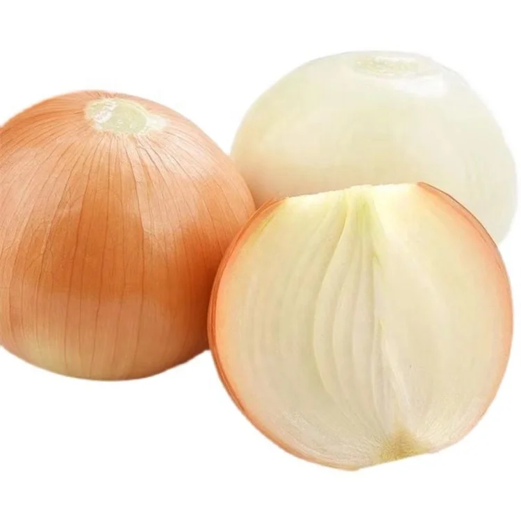 Fresh Peeled White Onion Bulbs from Shandong Wohua Factory Cheap Price High Quality Skinless Fresh Onions