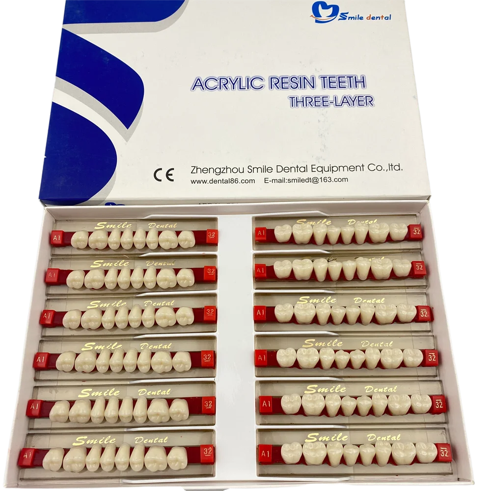 Dental Posteriors Teeth Artificial Acrylic Resin Teeth 3-Layer False Teeth