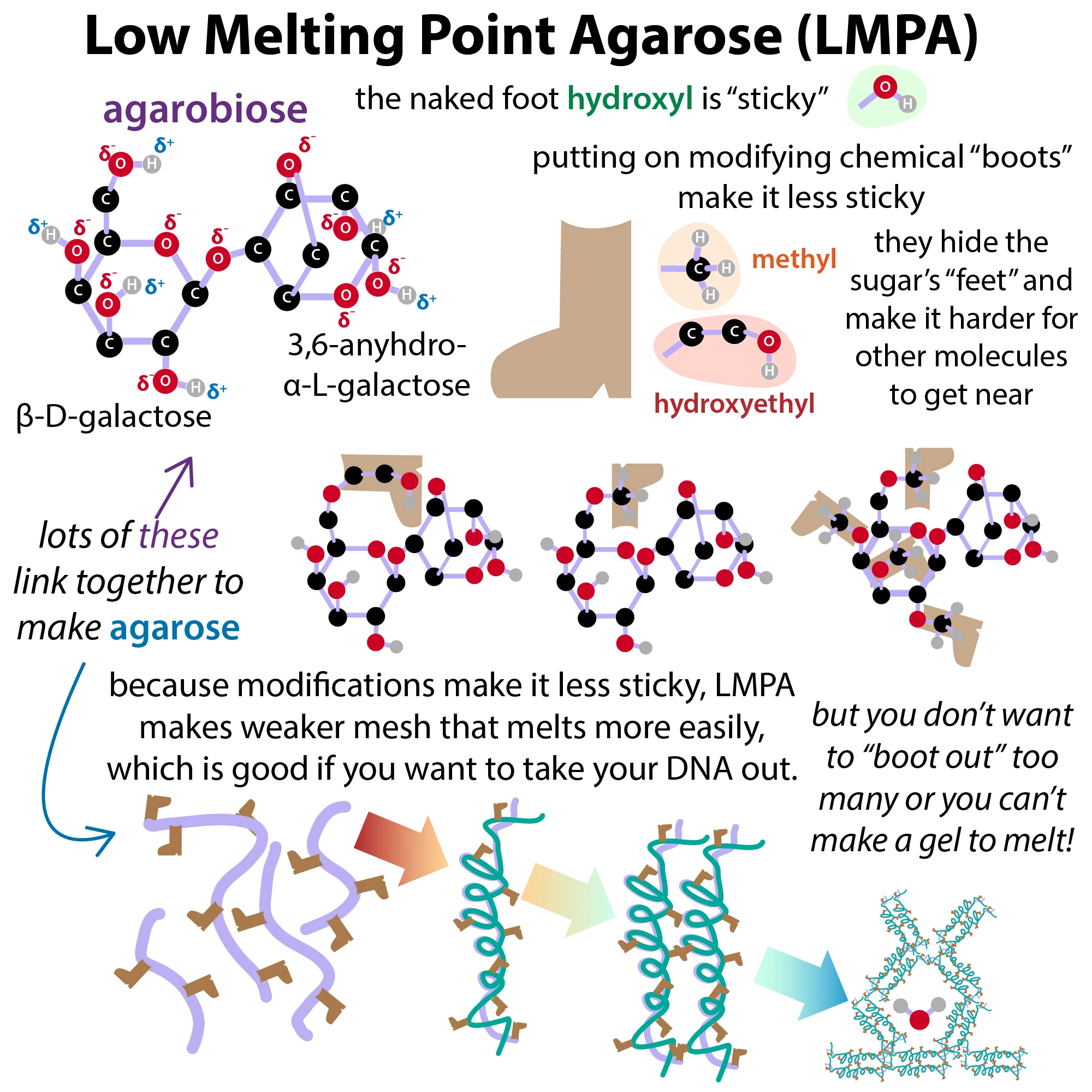 Starlighter agarose gel tablets nta agarose resin dna agarose gel electrophoresis machine