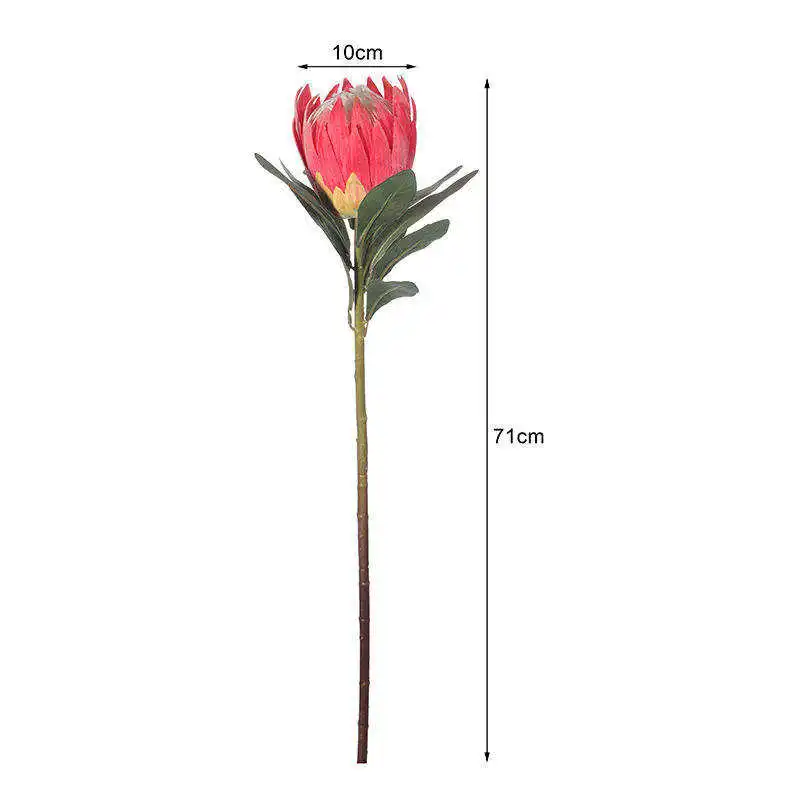 Oh Arts Professional Customization Artificial Protea Cynaroides Artificial Protea Flowers King Protea For Decoration Home Indoor