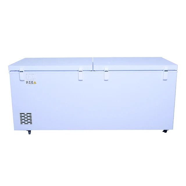 12v24V 200L 300L 400L 500L 600L solar freezer, DC refrigerated refrigerator