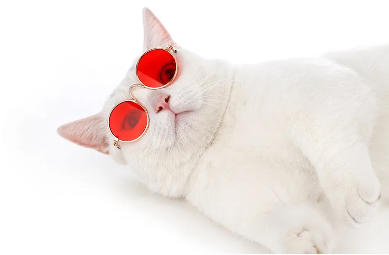Fashion pet accessories photo travel necessities dog and cat pet glasses sunglasses