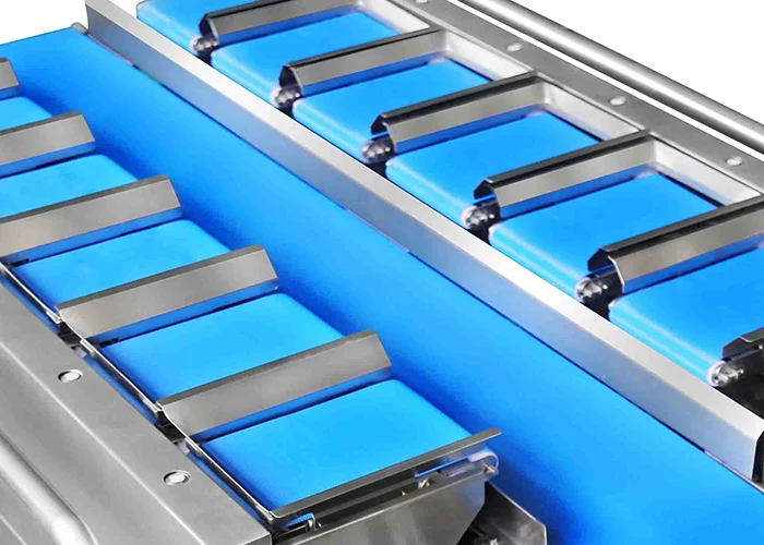 Semi-Automatic  Fresh Beef Pork Cuttlefish Dried Squid 12 Belt Mulithead Weigher