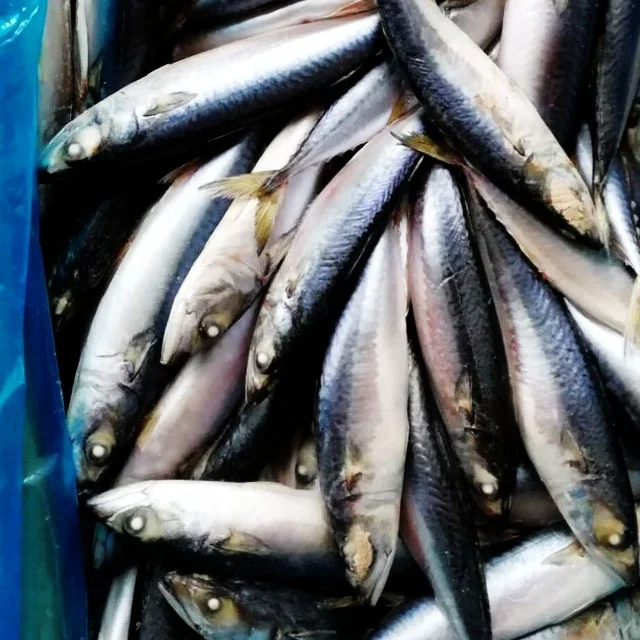 Лучшее Качество Целая замороженных Тихоокеанского рыба скумбрия