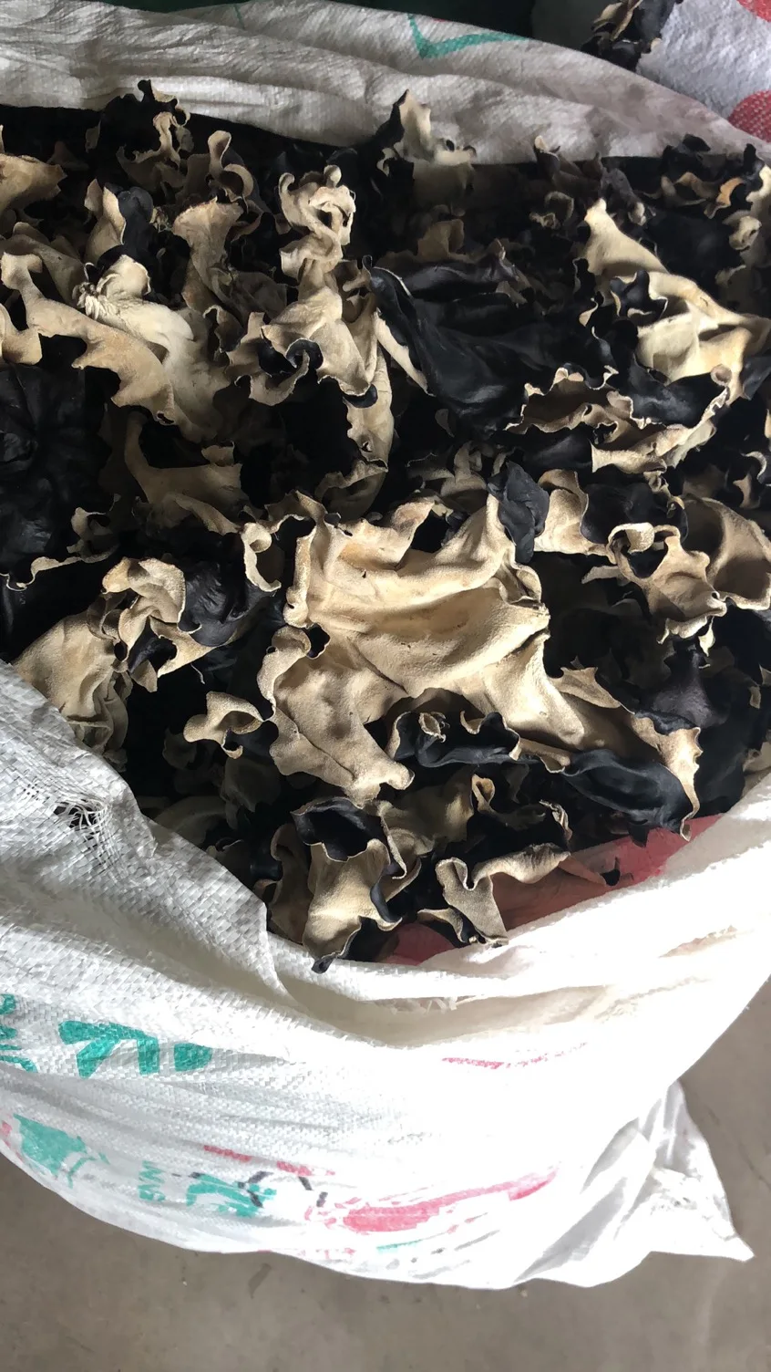 
2020 hot sale edible dried white back black fungus 