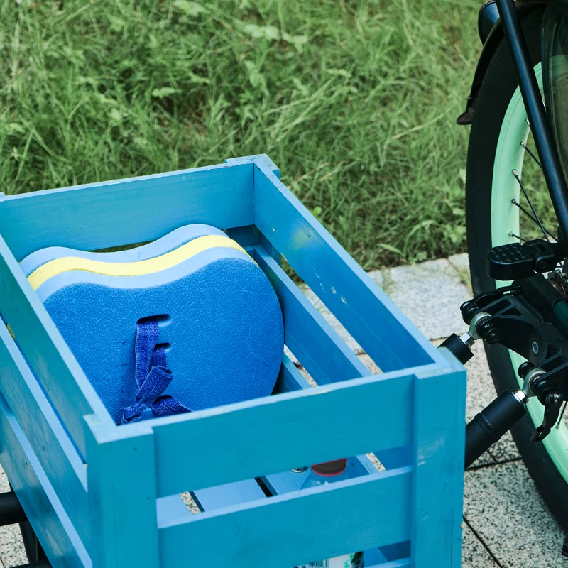 Step Through City Ebike Sidecar Cheap Price Electric Tricycle Children Seat Side car 250w for Sale