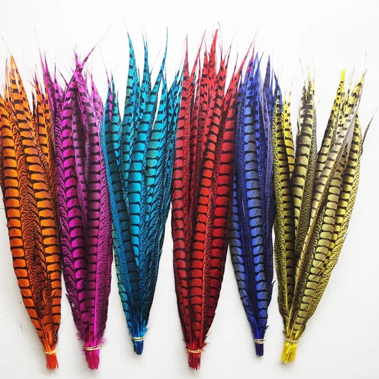 Customized High Quality Bleached Dyed Lady Amherst Pheasant Tail Feathers