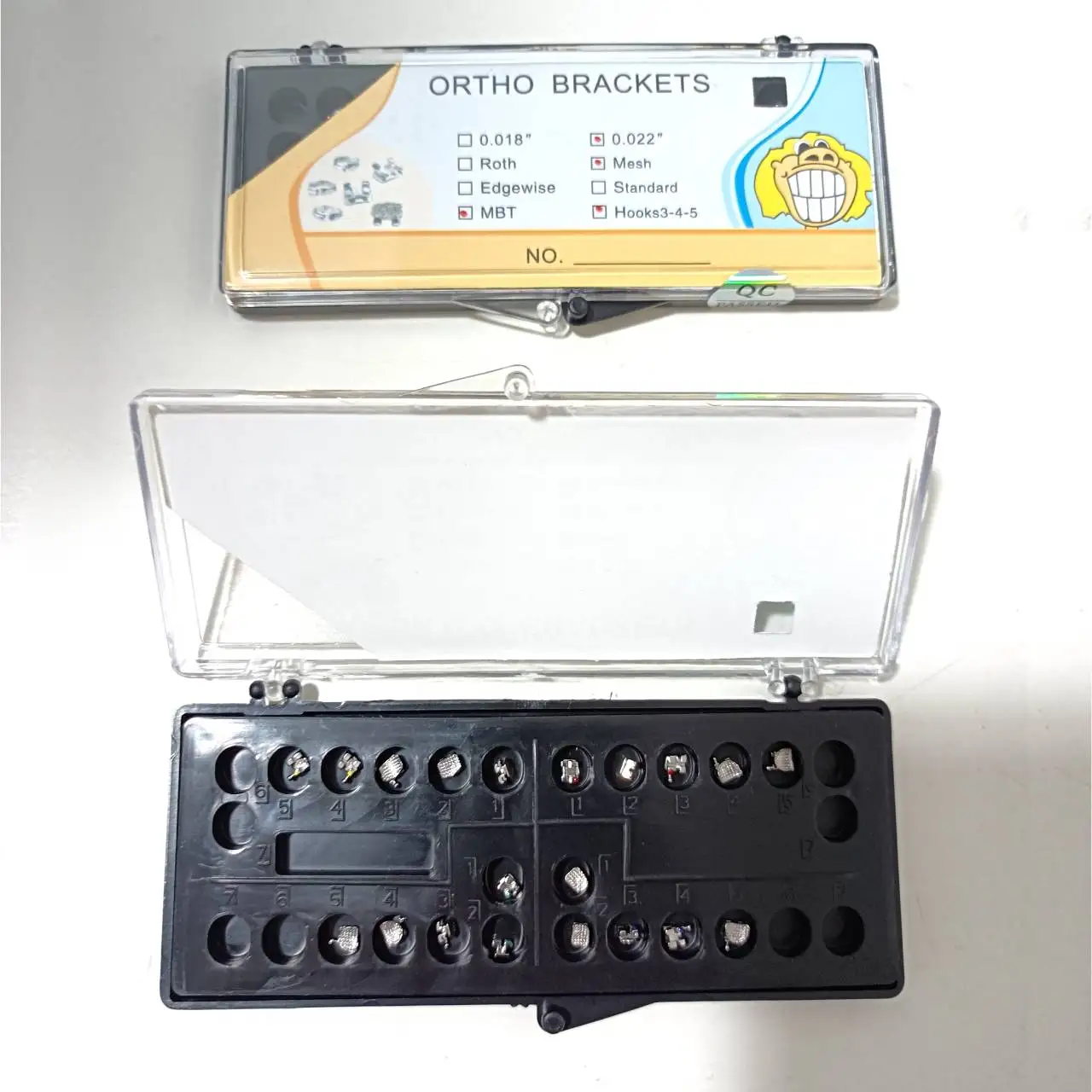 Hot Selling Orthodontic Demonstration Teeth Educational Teeth Model Orthodontic Model Teeth for Dental Course