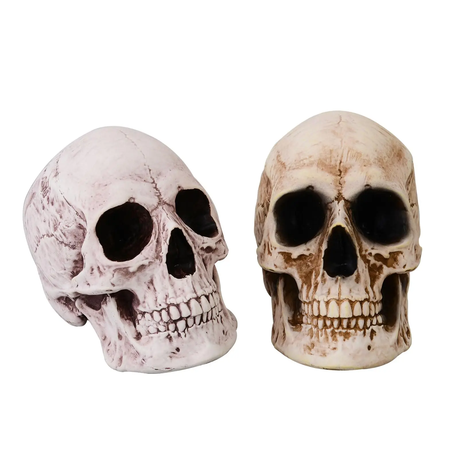 PartyGears Life Size Halloween Skulls Head Decor Realistic Looking Skulls Human Skeleton Head Skull Halloween Home Decoration