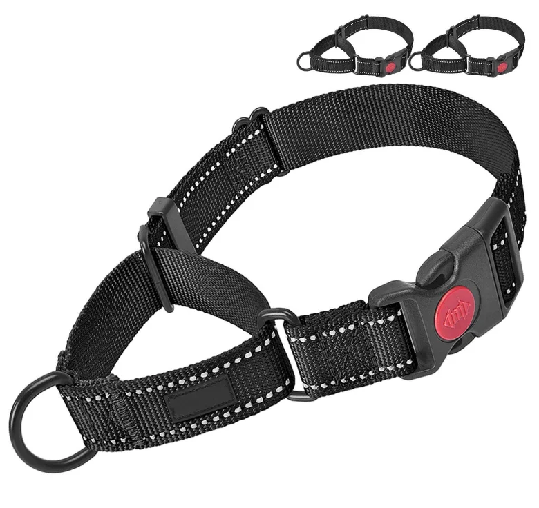 OEM Custom Logo Reflective Training Hounds Dog Martingale Collar