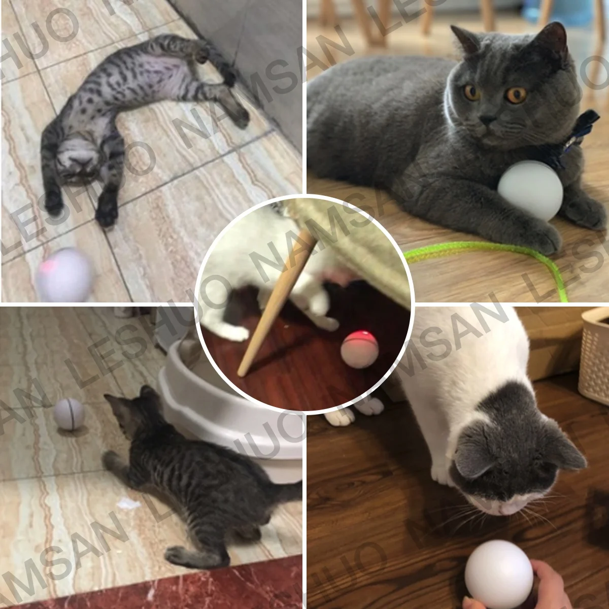 Interactive Pet Toys Automatic Motorized Scrolling USB Charge Cat Toys Light Pet Chase Laser Cat Toy Ball