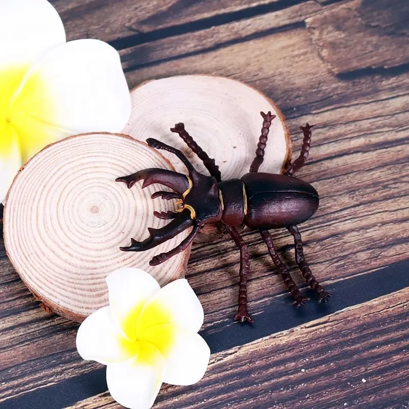 Plastic Insects Figures Realistic Insects Bugs Model Animal Toys Simulation Insect World Model Butterfly Spider Ladybug Mantis