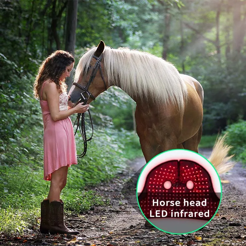 Built in Battery Red Light Therapy for Horse Leg Hoof Head Horse Redlight Therapy Horse boots