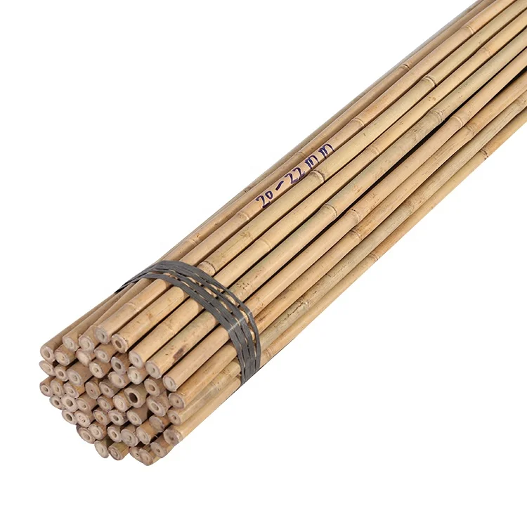 Chinese bamboo pole dia.20/22mm x 150cm for plant support