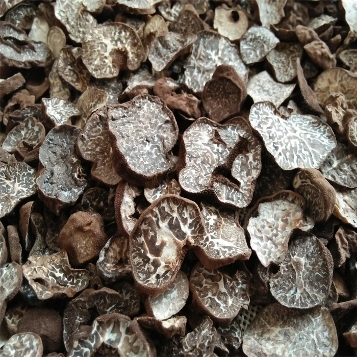 china wild truffle mushroom detan export Dried Yunnan Truffle Slices wholesale price