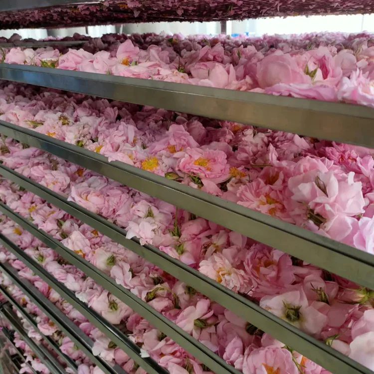 4015 Wholesale Natural Dried Damask Pink Rose Buds Tea Flavor Tea Edible Dry Rosa Damascenarose Flower