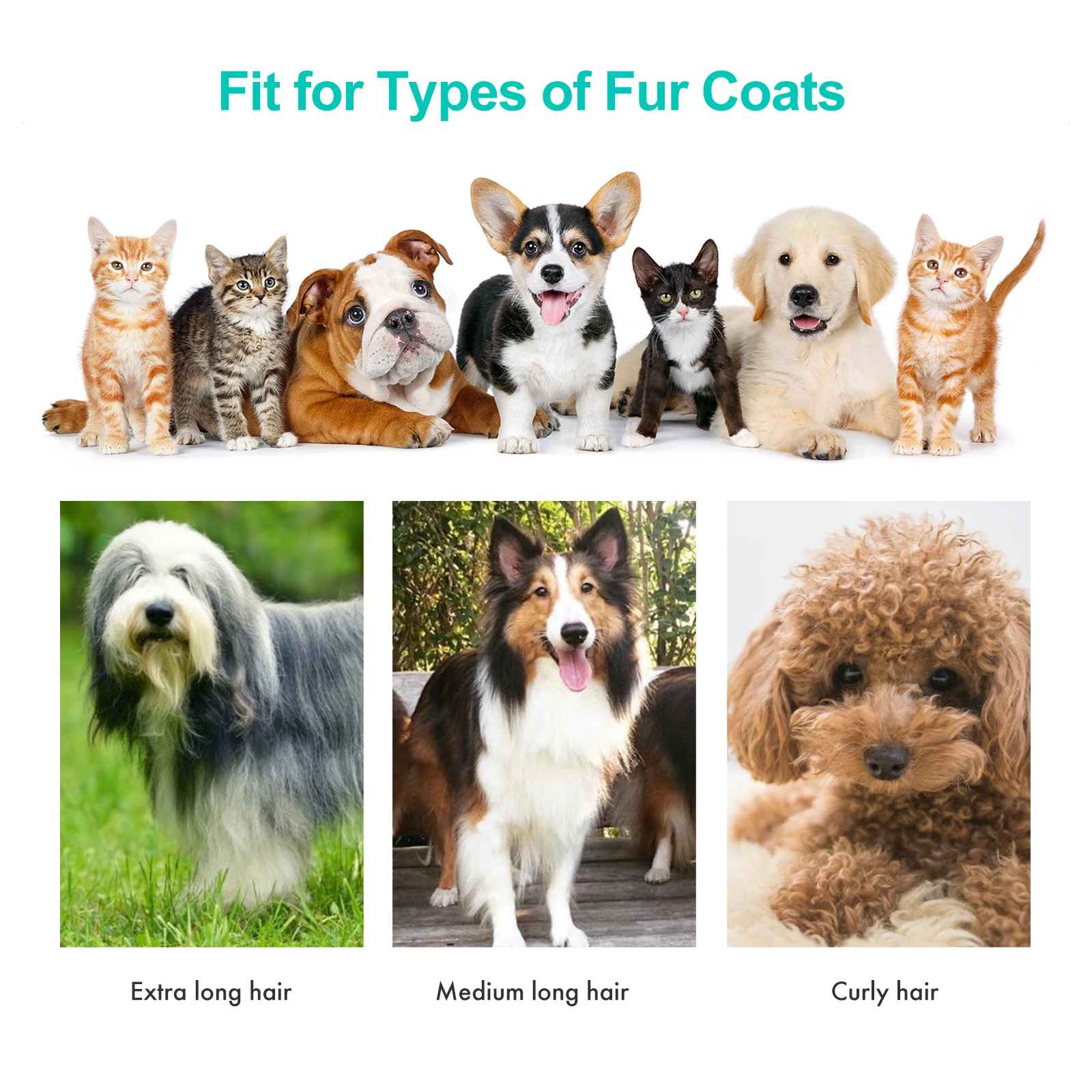 Neakasa P1 Pro Low Noise Cat Dog Pet Hair Trimmer 5 in 1 Shedding Grooming Vacuum Products Kit Tools