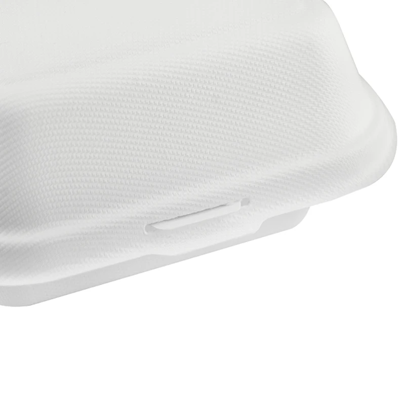Biodegradable Compostable Eco Sugarcane Bagasse Fast Food Paper Containers