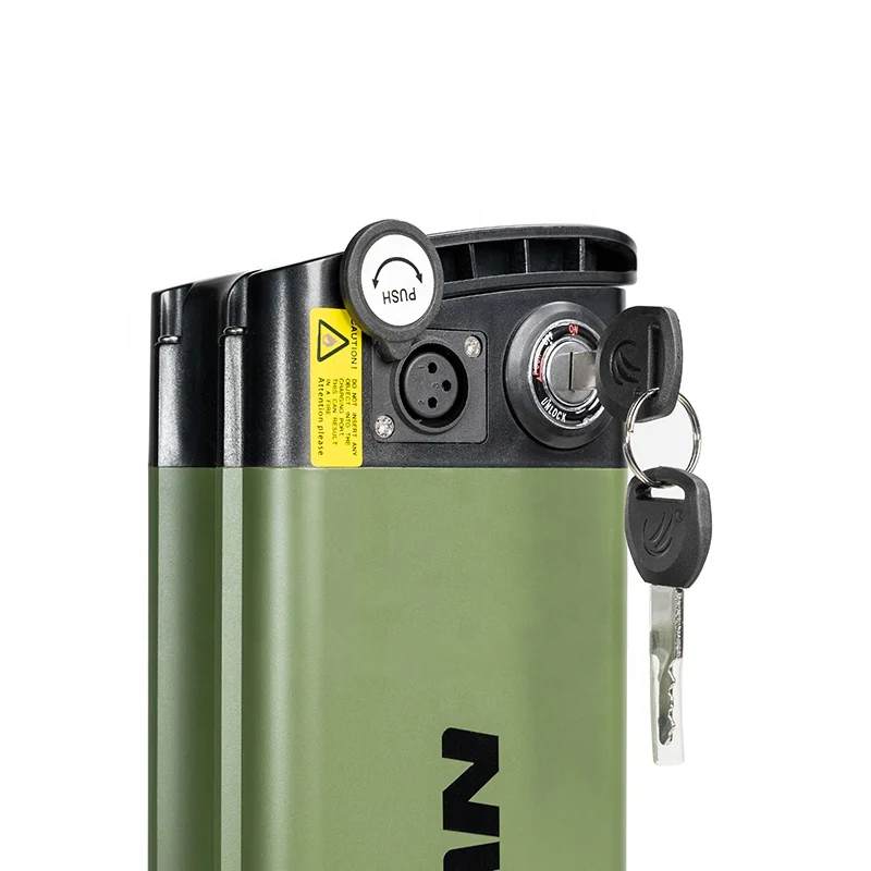 Removable 18650 Battery Pack 13s6p 48v 19.2ah Li-ion Silverfish Type Ebike for electric bicycle battery