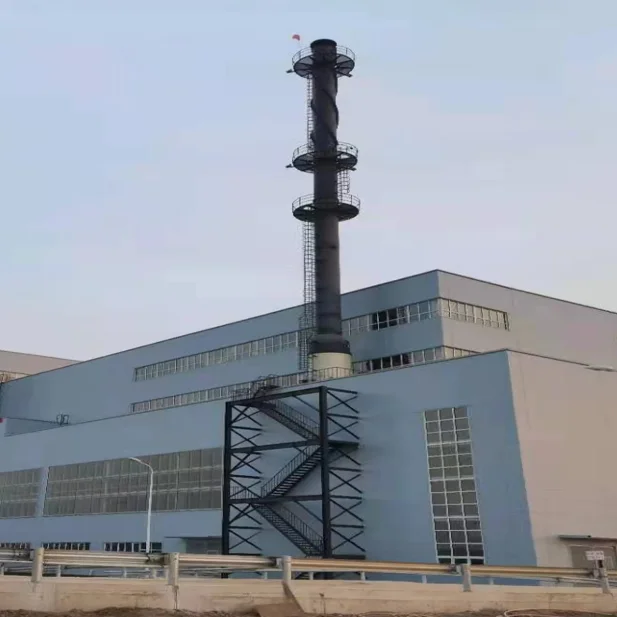 Domestic Waste Pyrolysis Gasification And Combustion Manufactory of Waste Incinerator for Animal Hospita Various wastes