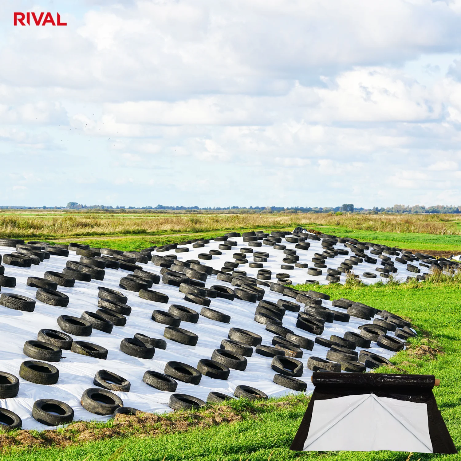 5.5mil 6mil 8mil Thick Polyethylene Panda Film Black White 10 x 100 Plastic Sheeting Roll for Greenhouse Silage Cover Film