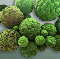 Hot selling artificial decorative green marimo moss balls for garden or home