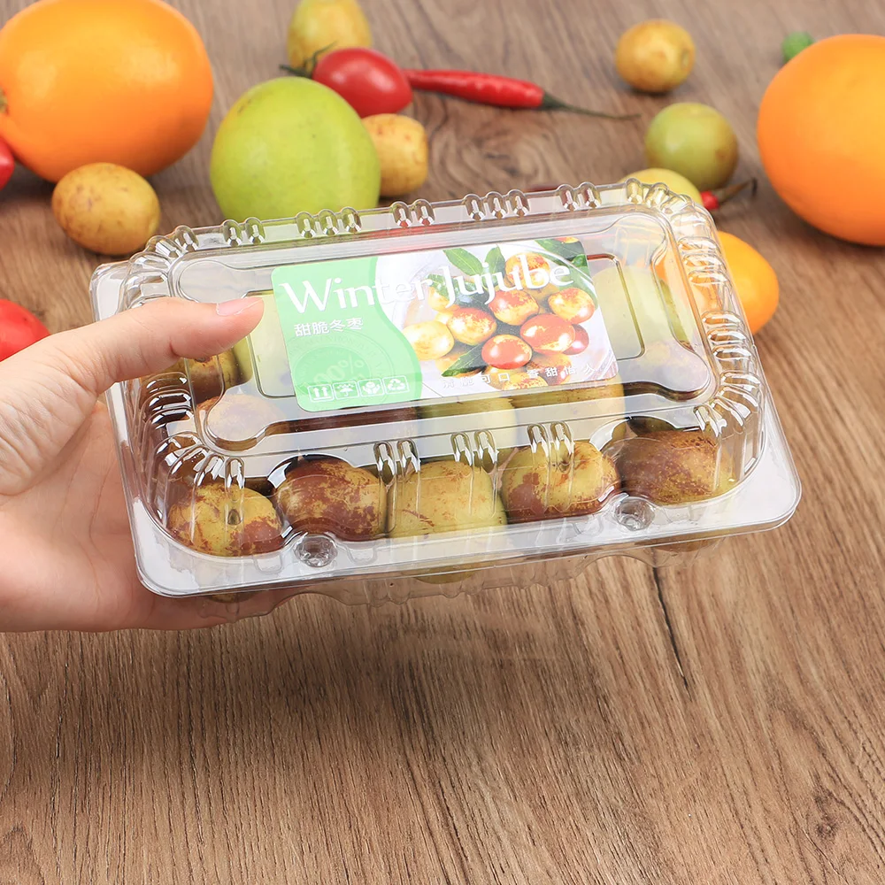 Plastic Blister Clamshell Food Eco-friendly Disposable