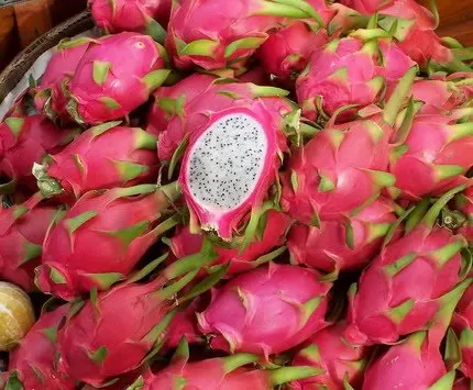 
High quality Fresh Dragon Fruit Form Thailand 