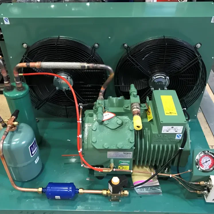 Single Phase Gas R404 Bitze Refrigeration Compressor 25hp 20hp 30hp 15hp 12hp 10hp Freezer Cold Room Industrial Condensing Unit