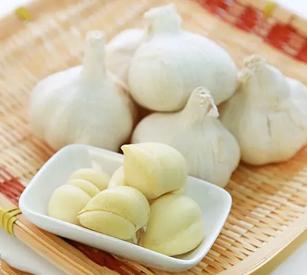 Hot Sale Guochen the g1 fresh pure white garlic seeds 10 kg 4.5-5.5 cm shandong origin import sale in china kutsh thailand