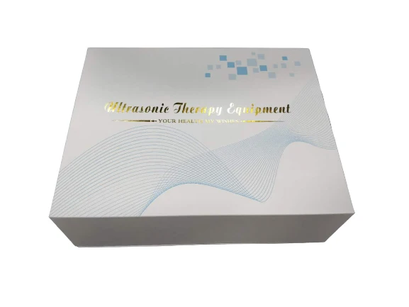 
Physical Therapy Equipment Ultrasound physiotherapy Medical Physiotherapy Equipment 