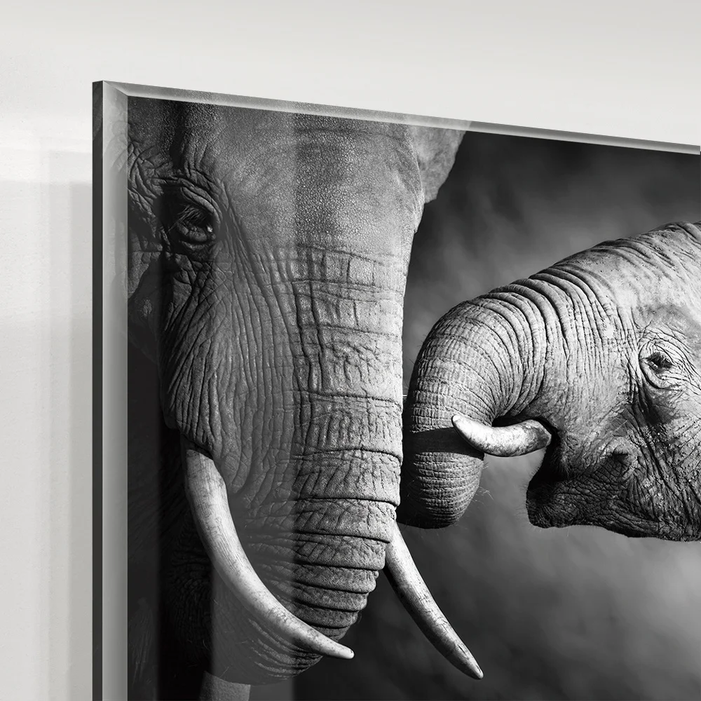 Hot Selling Crystal Clear Animal Mama Elephant Prints Canvas Art Frameless Acrylic Painting Oil Painting for Room