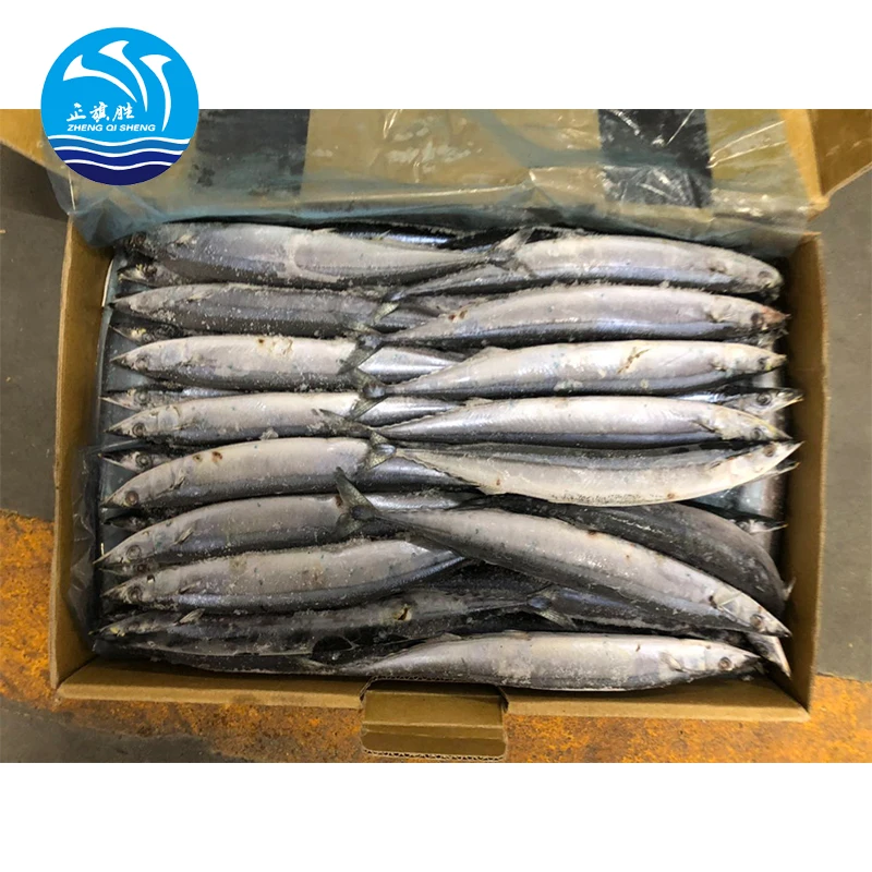 Japanese Frozen Seafood Pacific Saury 100-120g Fish For Export