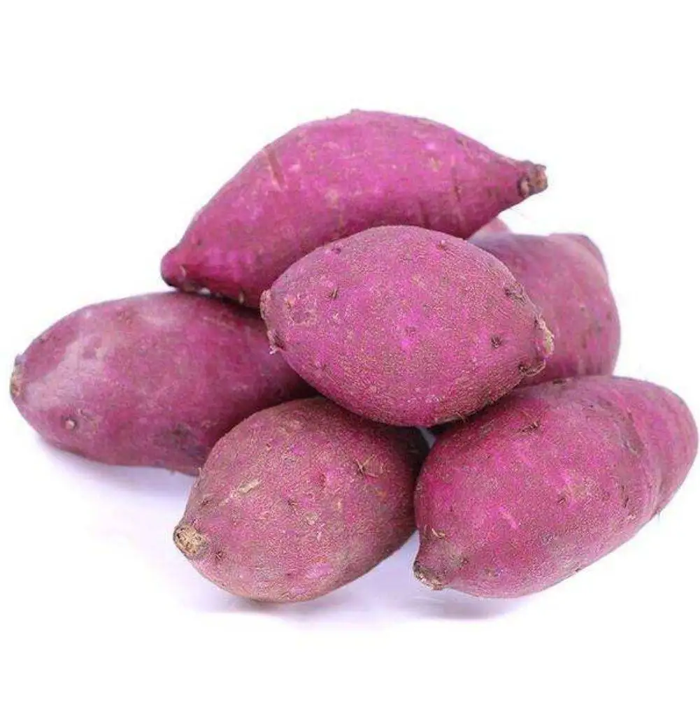
High quantity for exports calming for stomach sweet potato purple from China 