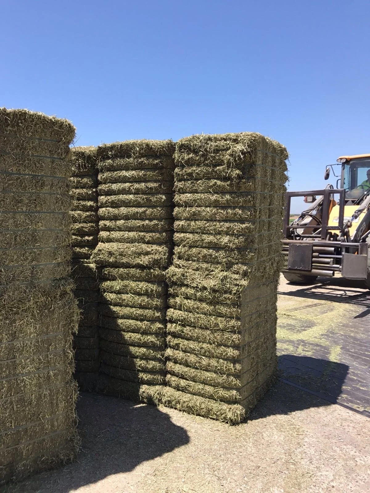 grade ALFALFA HAY PELLETS IN BAGS animal feed price for cattle sale per ton