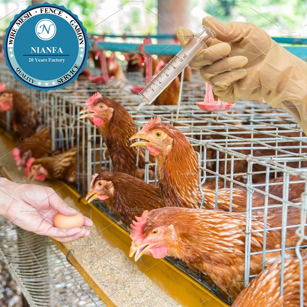 Guangzhou Thick Hot Galvanized Chicken Breeding Cage for Layer Chicken