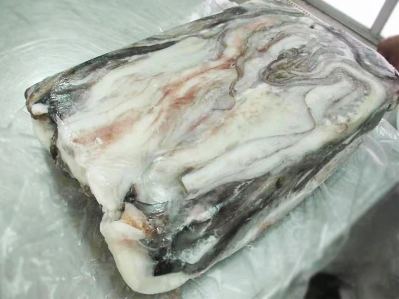 
FROZEN GIANT SQUID TENTACLES(DOSIDICUS GIGAS) 