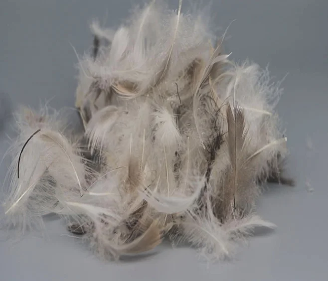 Hot Sale Washed Grey Duck Down Feather Filling Material Pillow Filling Material