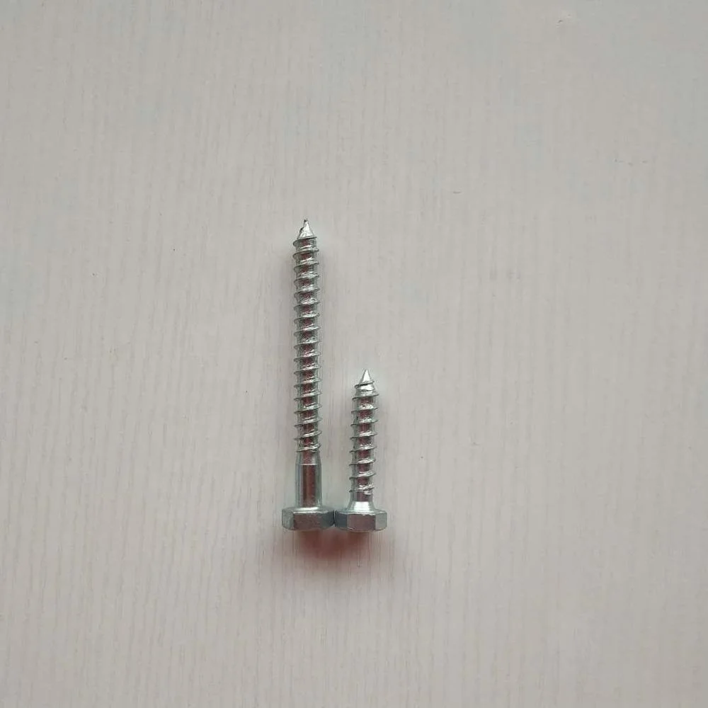 DIN571 hex head lag wood screw for all size