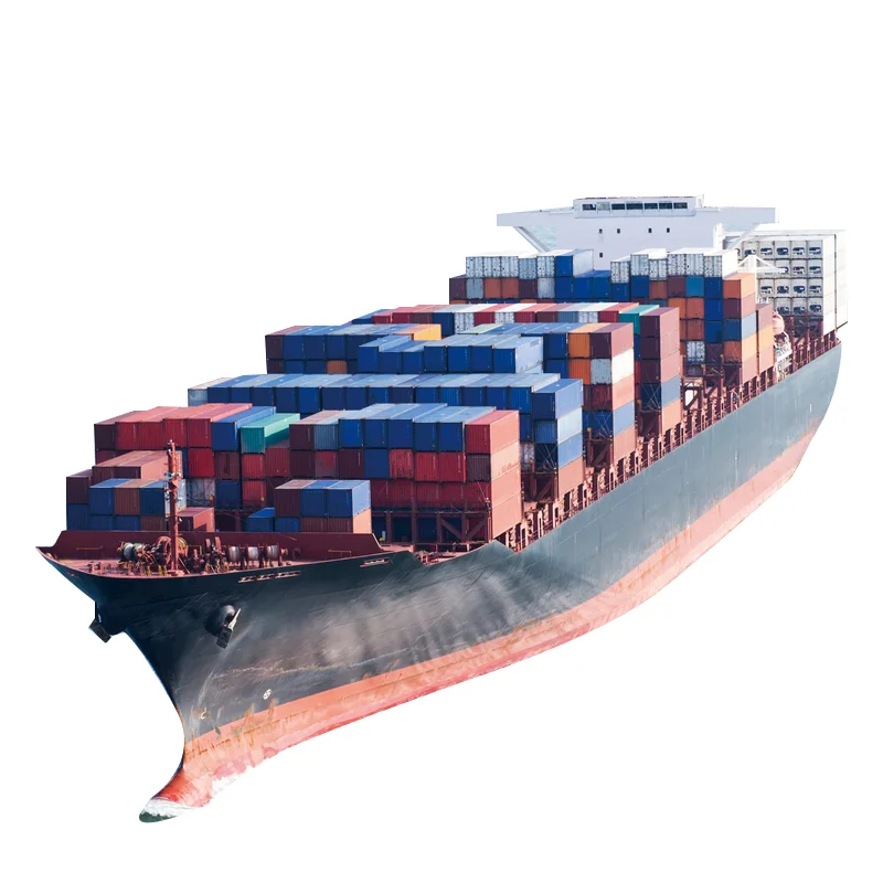 NEW SPEED Logistic International Agent Sea  Freight Forwarder Warehouse Rent And Truck Delivery to USA DDP DDU Service