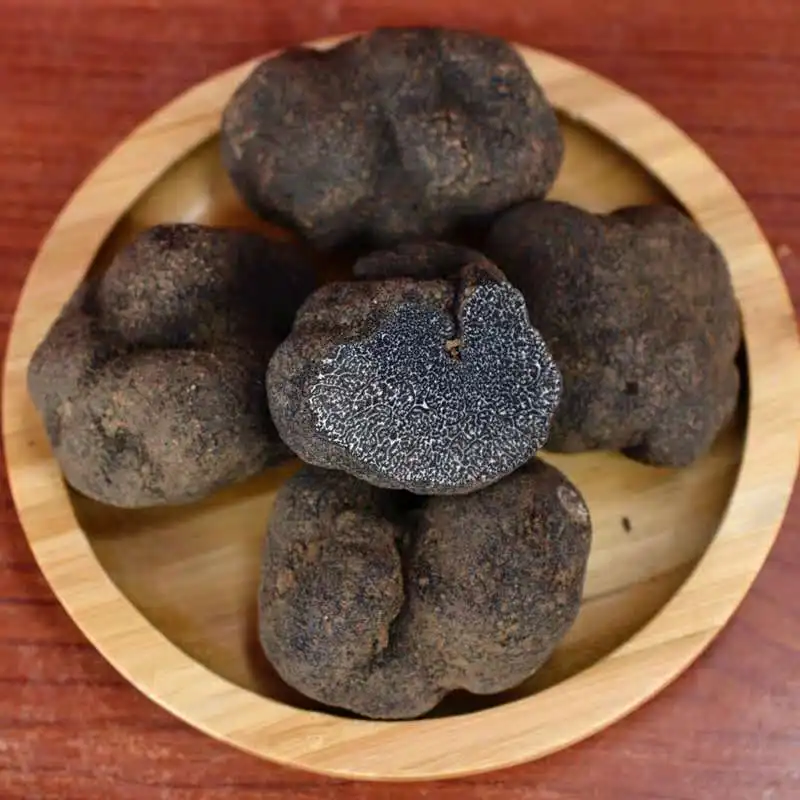 Бесплатные образцы сушеных черных грибов для зимы