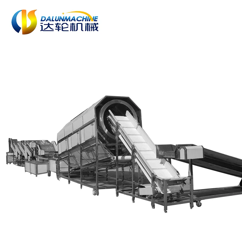 
Fruit and vegetable processing line 