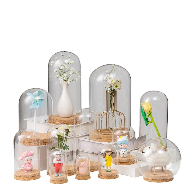 Hot Sale Cheap Large Glass Cloche Dome Bell Jar Display Stand Cover Terrarium Bottle with Cork Base for DIY Decor Glass Dome