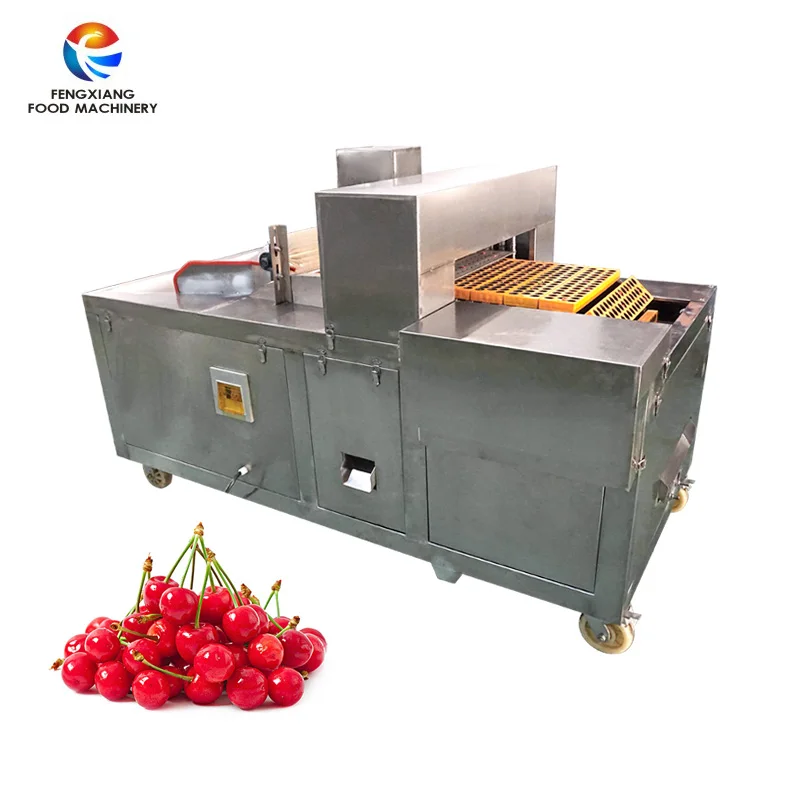 Automatic Cherry Plum Prune Apricot Litchi Pitting Machine Coring Machine Fruit Destone Machine